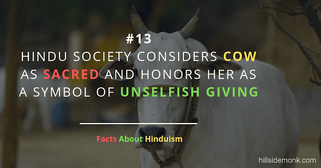 Fact About Hinduism 13 UNSELFISH COW HOLY