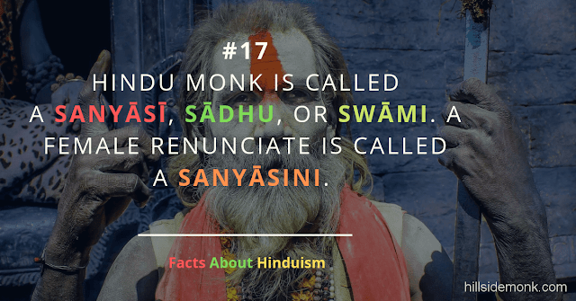 Fact About Hinduism 17 SANYASI MONK