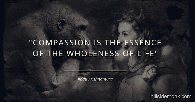 Krishnamurti Quotes To Enlighten Your Mind And Life-16