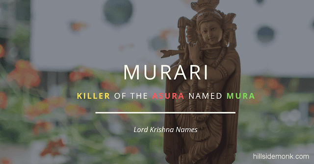 Lord Krishna Names With Meaning 4