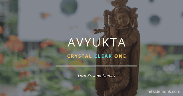 Lord Krishna Names With Meaning 51