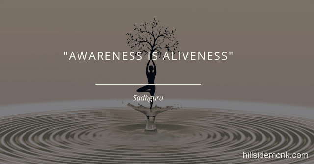 Sadguru Quotes-14 Awareness is aliveness ~ Sadhguru