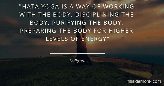 Sadguru Quotes-8 Hata yoga is a way of working with the body, disciplining the body, purifying the body, preparing the body for higher levels of energy. All of us are alive; all of us are human beings, sitting here. But all of us do not experience life to the same intensity because our energy levels are not the same. Our pranic energies are not the same. Different people experience life in different levels of intensity. -Sadhguru