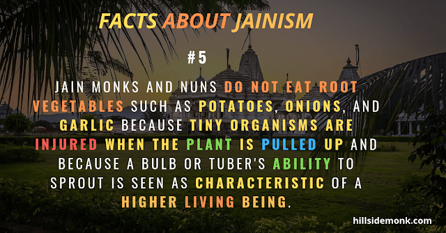 jain vegetarian lifestyle do not eat any root vegetables  jainism teachings