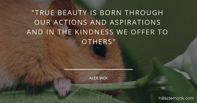 10 Short Kindness Quotes To Make You Better Person-1  True beauty is born through our actions and aspirations and in the kindness, we offer to others - Alek wek